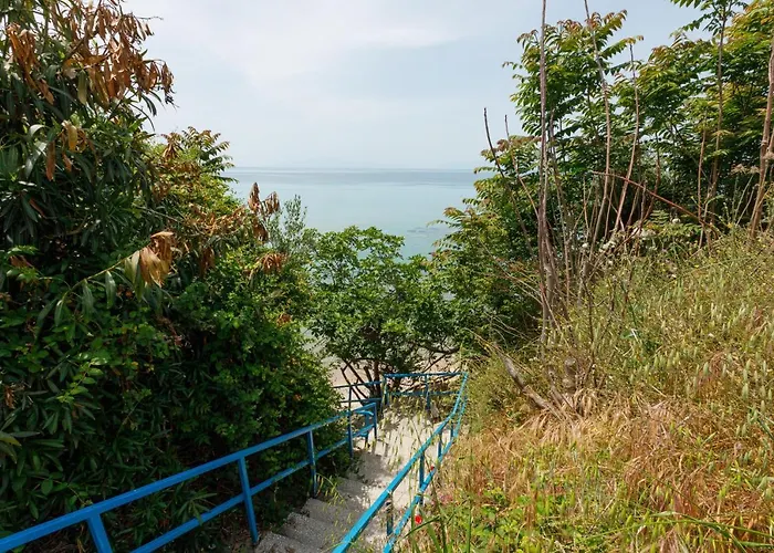 Lofos In Vergia Halkidiki *