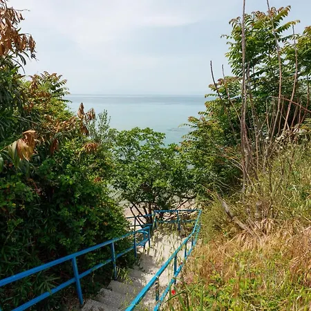 Lofos In Vergia Halkidiki *